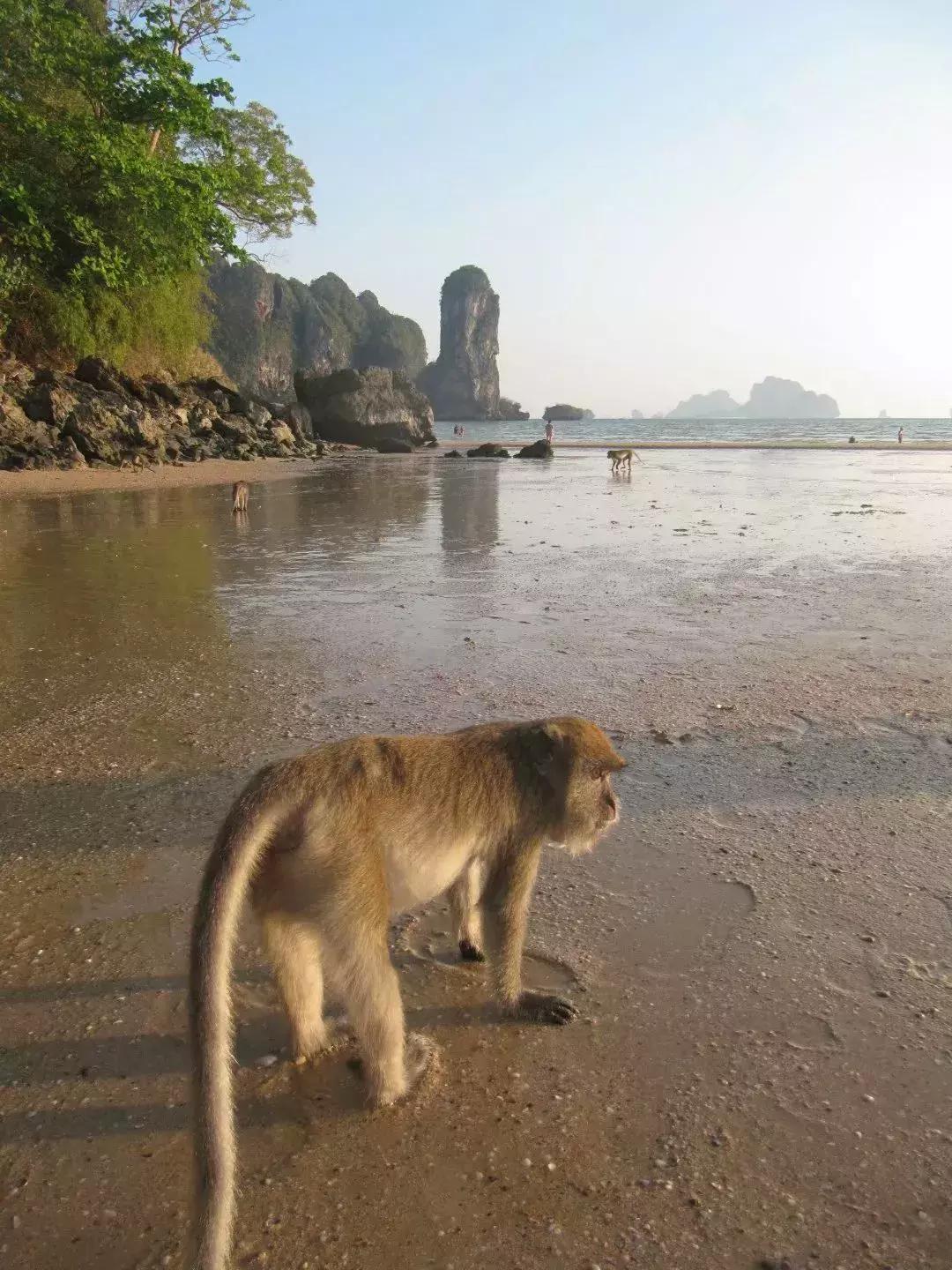 泰国甲米7天自由行攻略,5天4晚玩转泰国