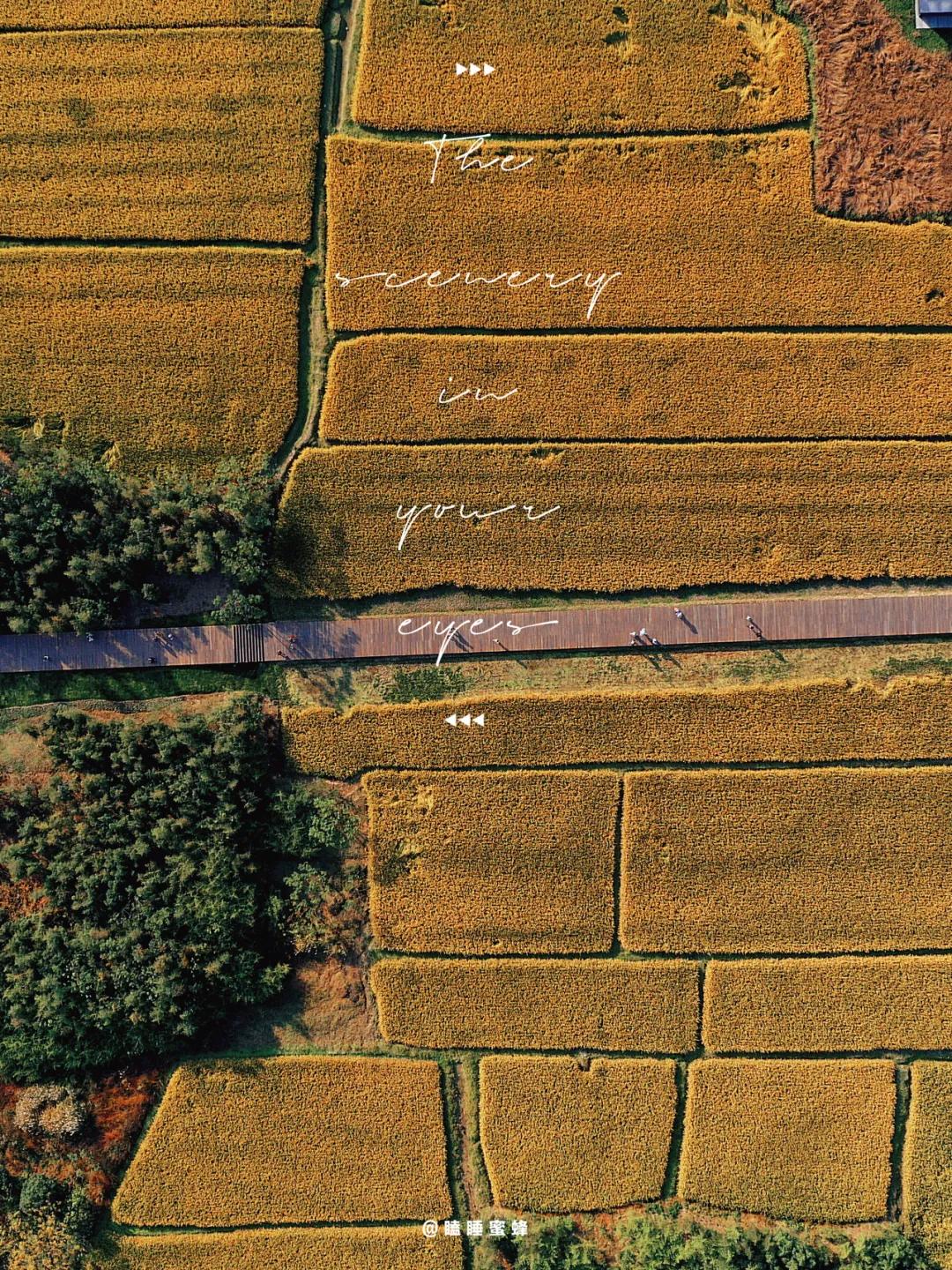 秋天杭州冷门但好看的景点,杭州赏秋景最好的地方