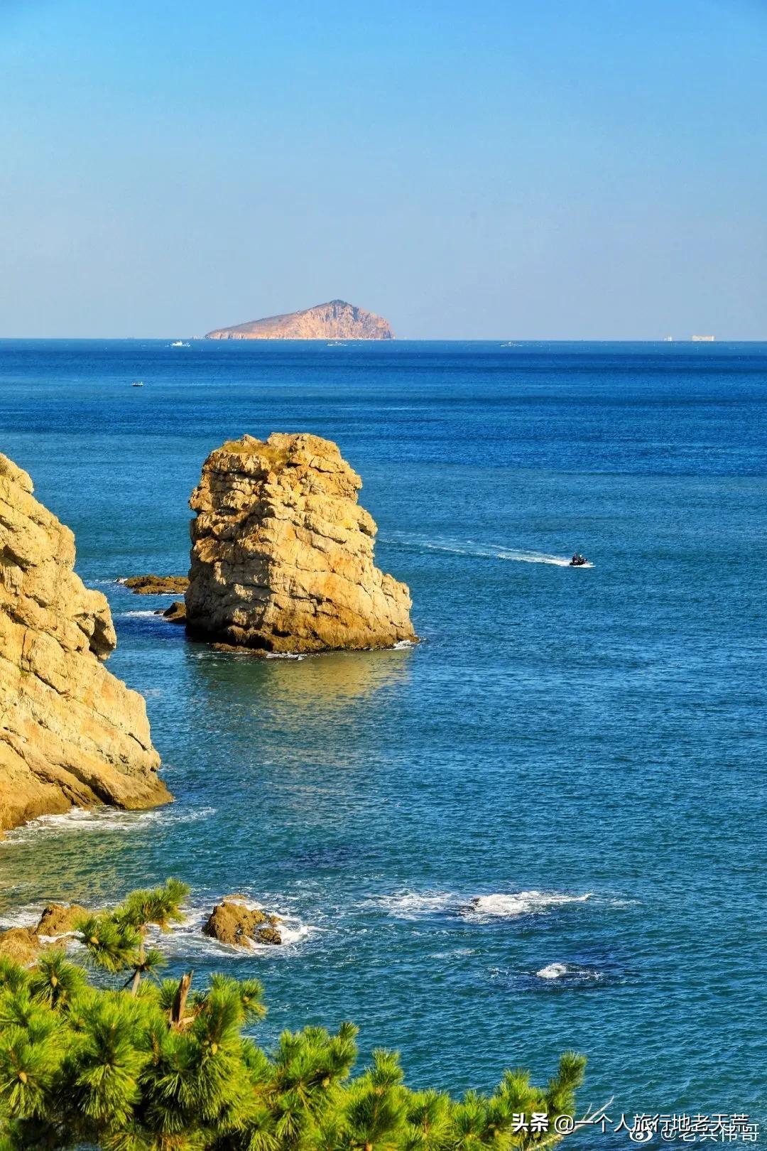 北方这座海滨老城，樱花不输日本，浪漫更胜巴黎