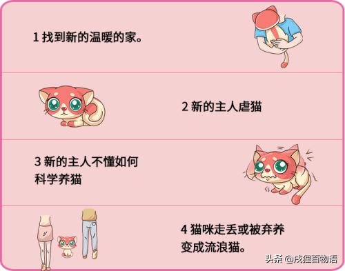 因不能克服的原因而无法继续养猫，该怎么办？