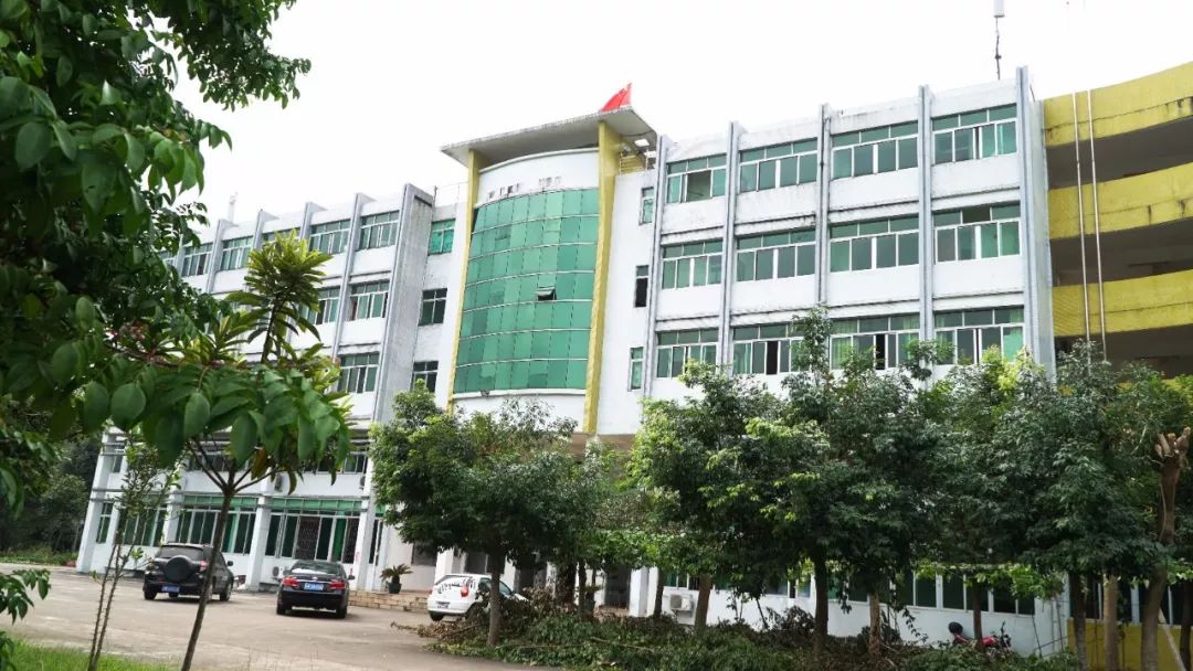 罗定一年四季的风景,罗定大山风景