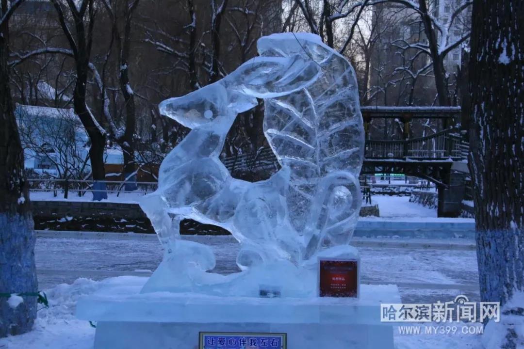 哈尔滨兆麟公园冰灯免费开放时间,哈尔滨第一届冰灯游园图片