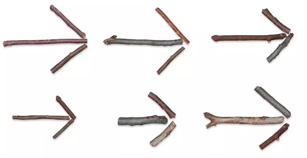 野外遇险的应对方法,野外遇险求救信号有哪些