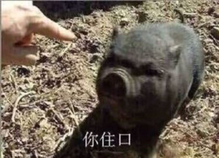 颠覆你传统认知的一款产品,新款奥迪a5敞篷入门级多少钱