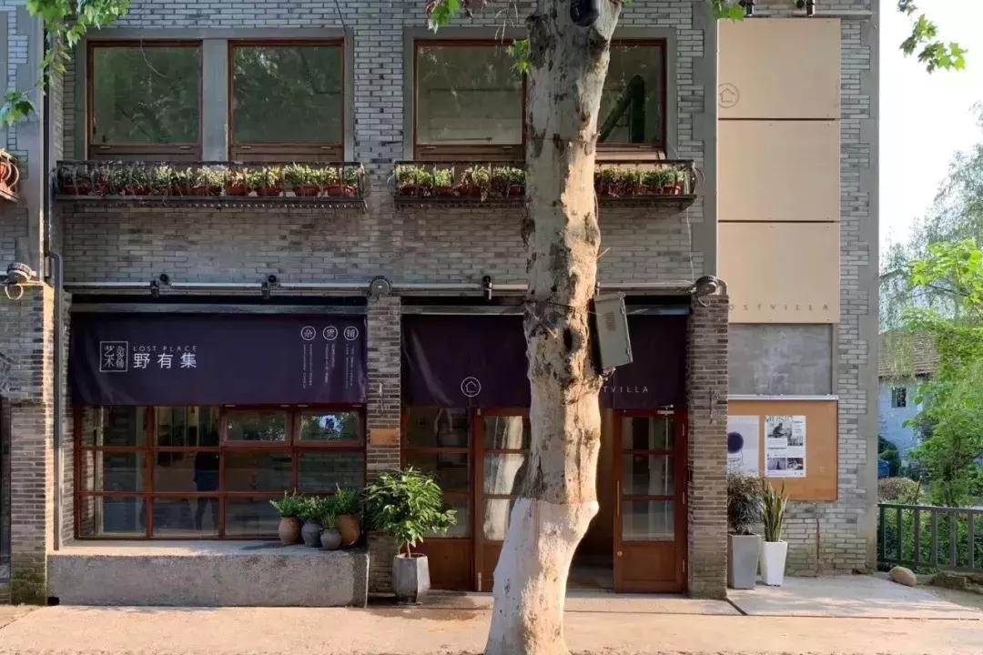 想要搬空她！民宿里被大家点赞的好物，原来都在这儿