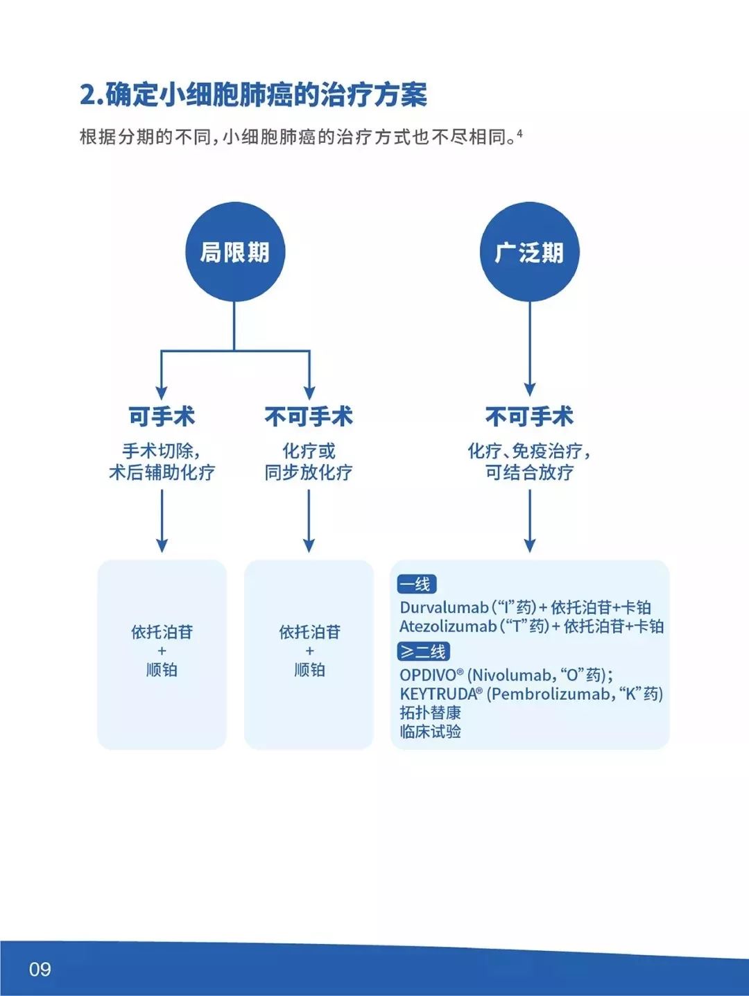一文读懂小细胞肺癌