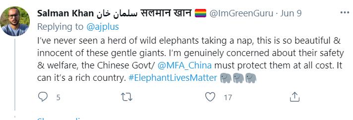 云南象萌翻全世界!外网追直播“吸大象”,夸中国护象措施太可爱