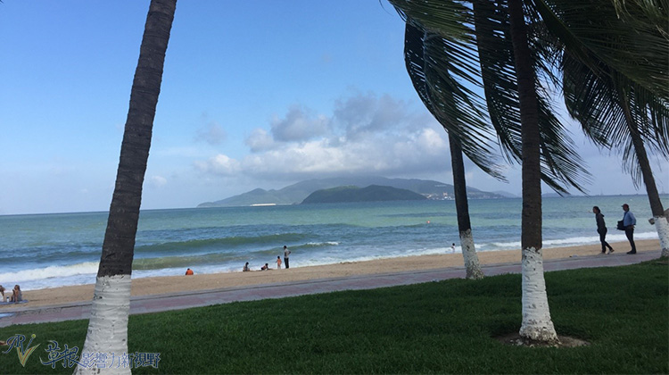 瓒婂崡鑺藉簞娴锋哗鏅尯瑙嗛,瓒婂崡鑺藉簞榛戝矝娴锋哗