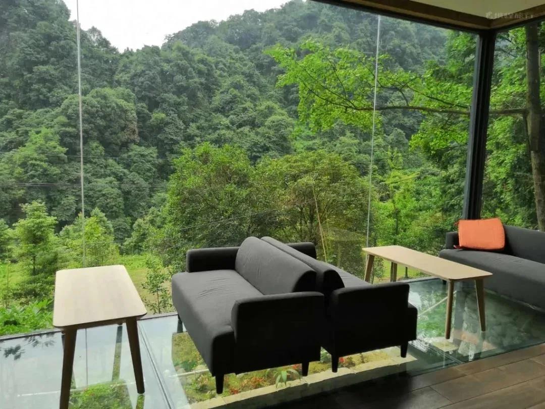 去了青城山才知道的宝藏民宿,青城山避暑农家小院