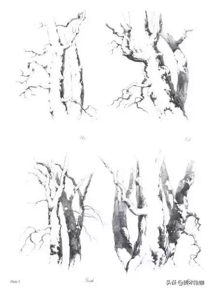 静物素描风景图临摹,简单又好画的彩铅素描风景图