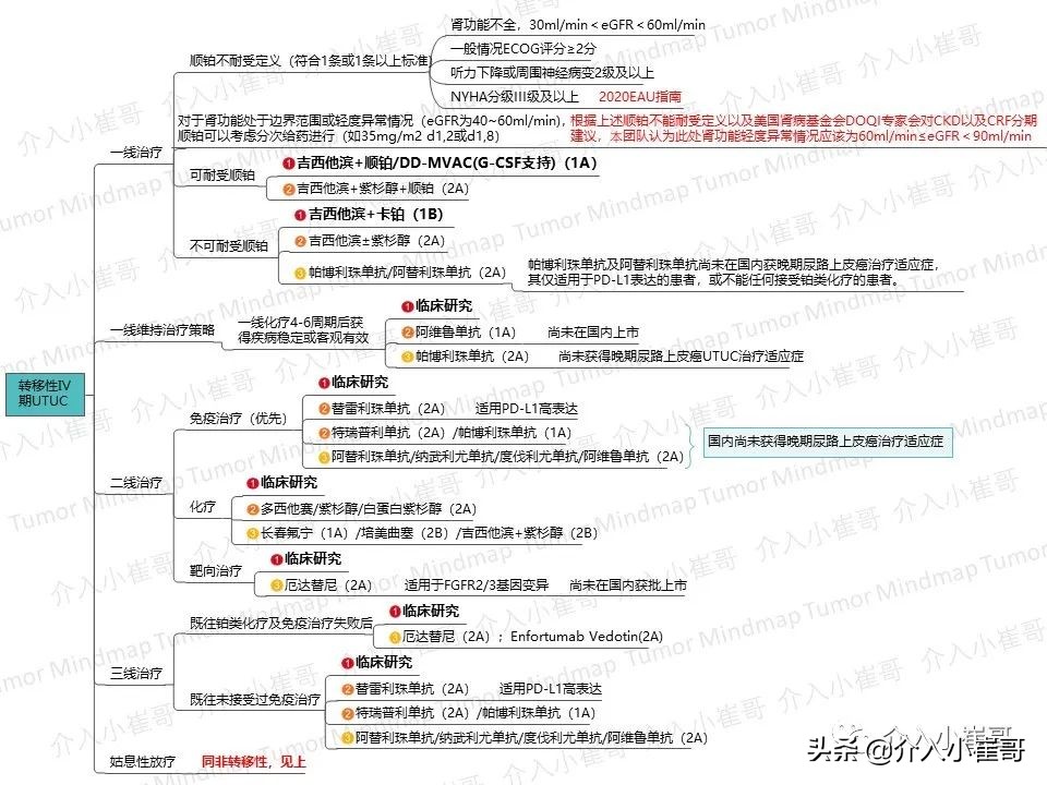 肿瘤护理思维导图,肿瘤免疫思维导图