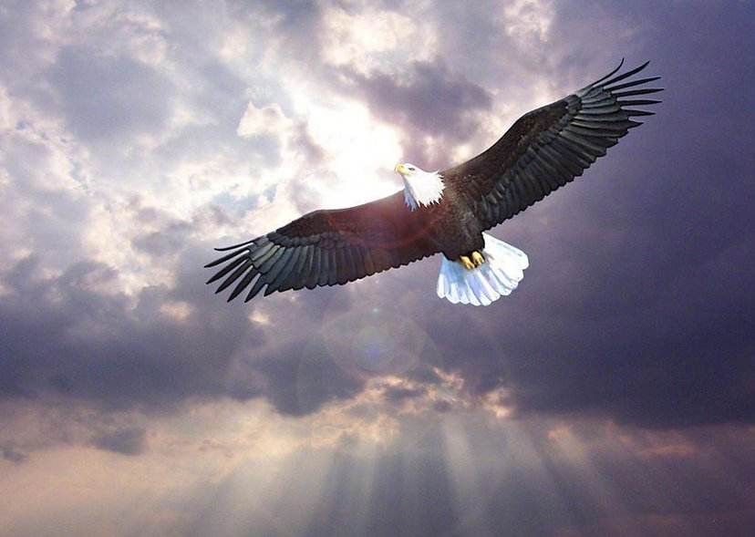 青泽期货做的怎么样,青泽期货最新消息