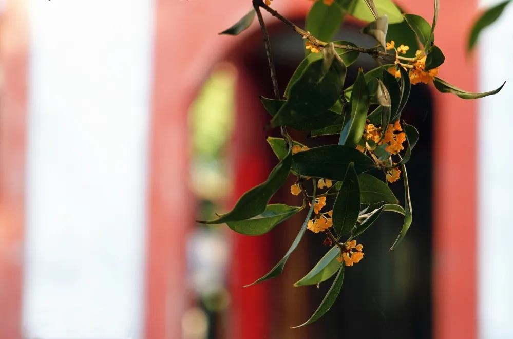 4个绝招帮你解脱烦恼,治愈烦恼最有效的方法