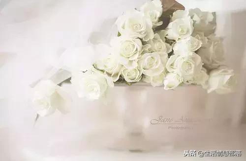 适合写心灵鸡汤的经典句子,男人心灵鸡汤句子精辟