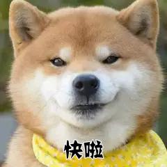 纯爱！《你的味道我知道》齁甜互宠小霸王满嘴跑火车，白切黑芝麻