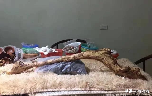 男子山上砍拐杖高价卖,男子花千元买根木头