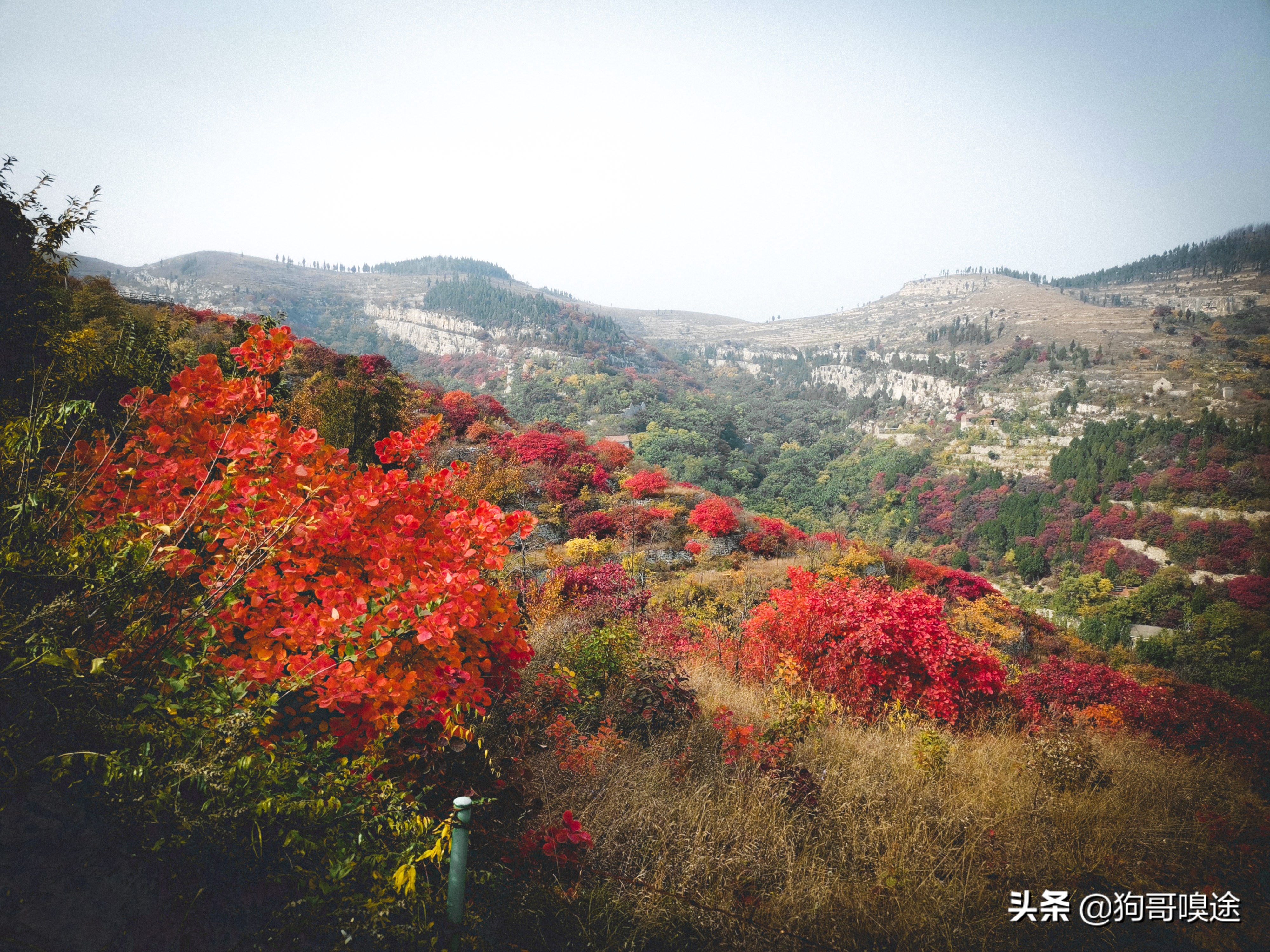 淄博避暑野餐哪里好玩,淄博夏天山里好玩的地方