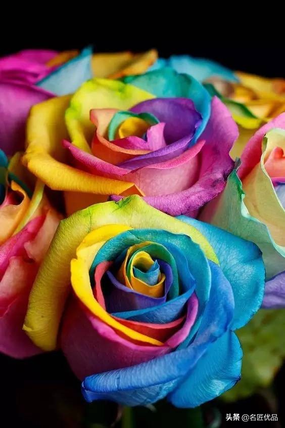 手工玫瑰怎么制作,玫瑰花手工制作白玫瑰