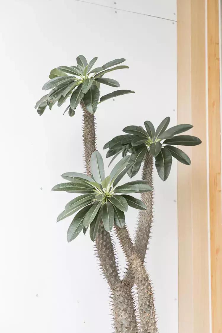 深圳必去的十大书店,深圳最美书店排行榜