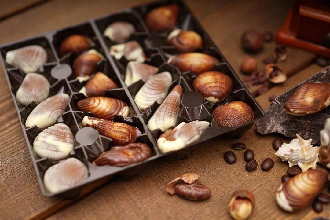 畅游梦幻海洋，嗨玩御园盛夏