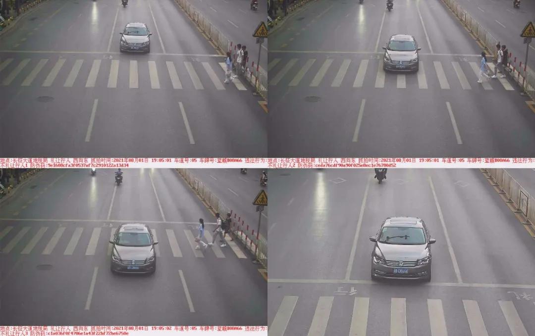 于都礼让行人上哪里举报,于都五中不礼让行人抓拍