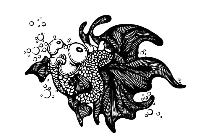 怎么讲解黑白装饰画,黑白装饰画的技法有哪些