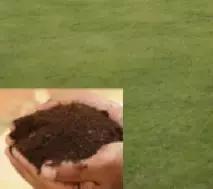 美容针讲解视频,美容针解析