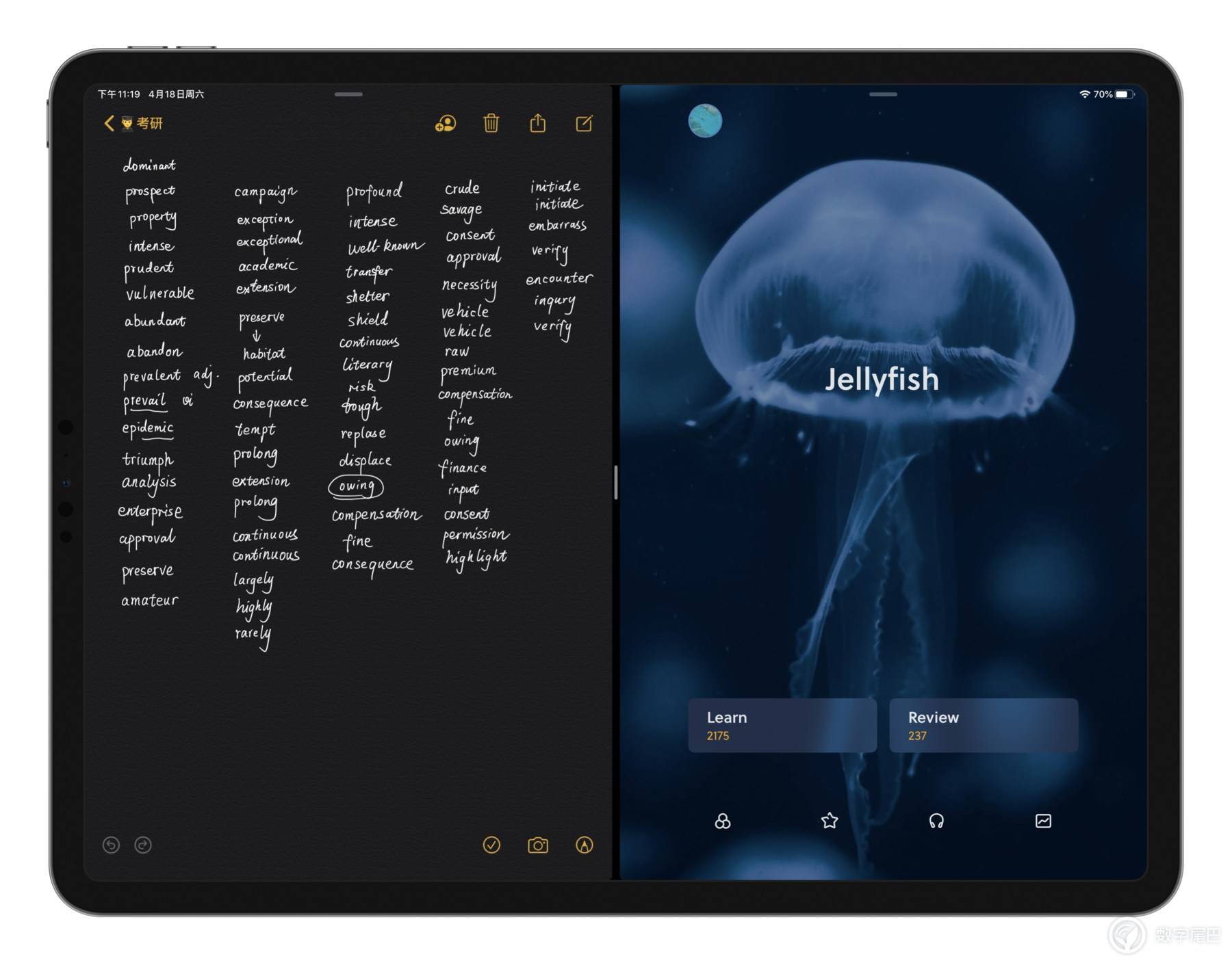谁说iPad不适合学习？是你没找对方向，提升学习效率看这里就够了