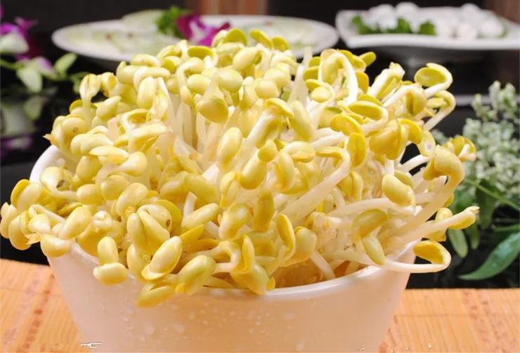 三年级扩写写作训练,小学三年级写作仿写训练