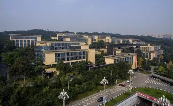 茶园真的不值得买吗,茶园太贵