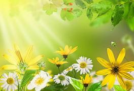 湿疹反反复复是怎么回事,乳房湿疹反反复复怎么办