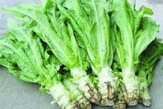 清洗叶类菜的最佳方法,清洗花叶子用什么水最好