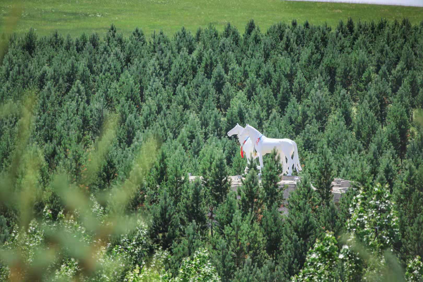 锡林郭勒大草原3天旅游攻略,锡林郭勒大草原五日游推荐