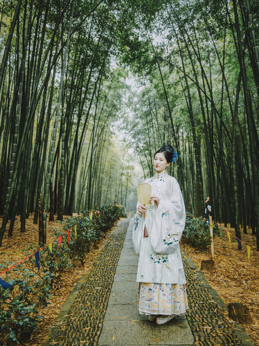 江浙沪藏在桐庐的绿野仙踪,浙江桐庐秘境山水