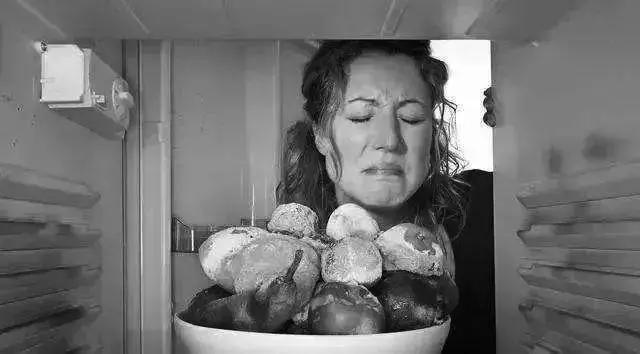 杀菌除味保鲜棒,德国冰箱保鲜除味棒