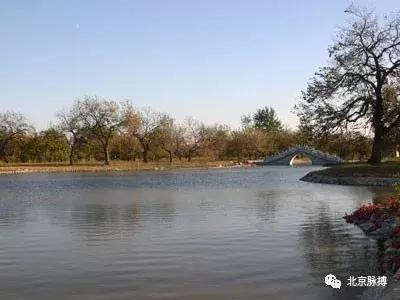 画说回龙观,北京最漂亮的森林公园