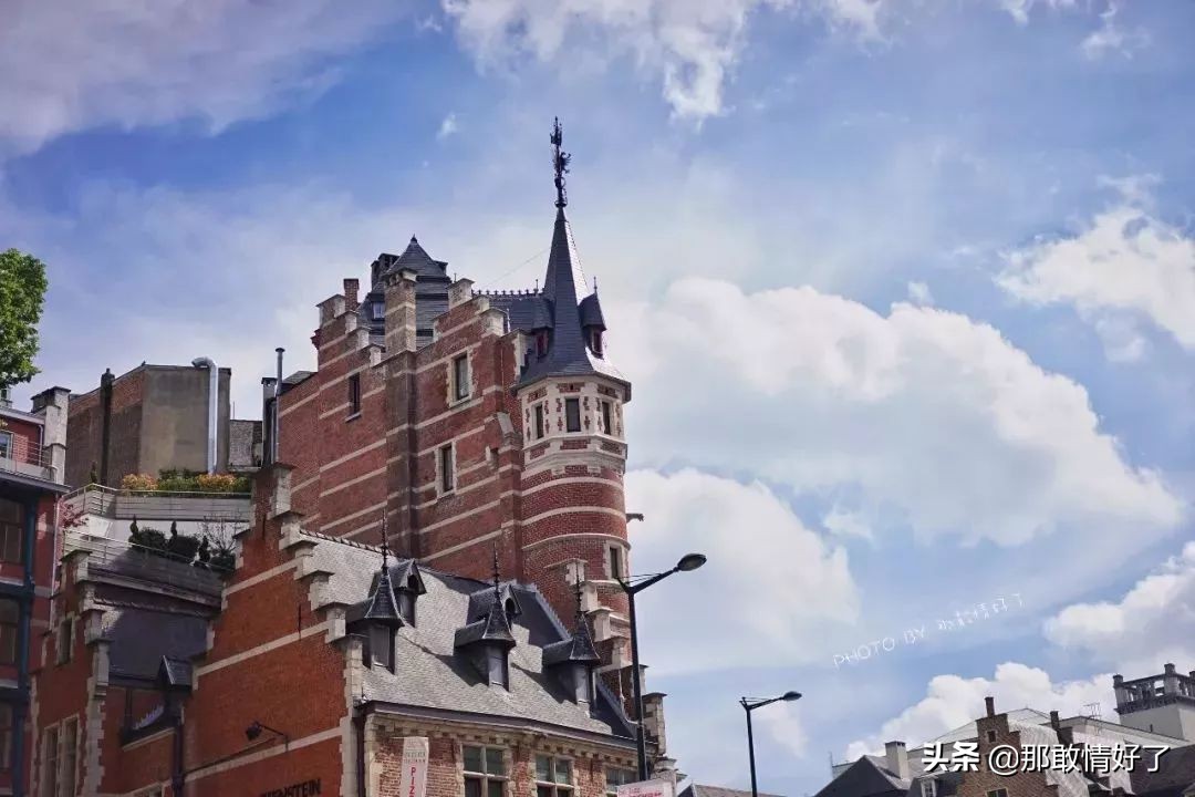 在蓝精灵的故乡邂逅天价纹身*国猪中**，只因我国没有动物保护约束