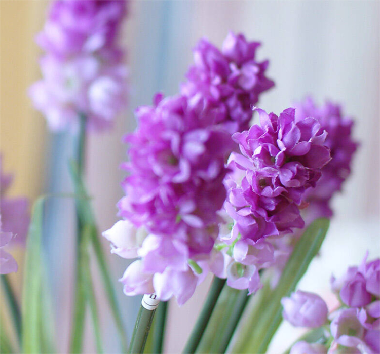 向女朋友道歉送什么花合适,给女友道歉送什么花合适呢