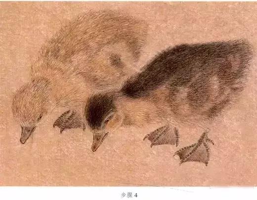 苏百钧工笔国画教学视频,苏百钧花鸟白描画稿