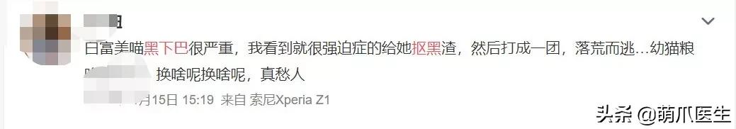 猫咪黑下巴毛囊炎的终极解决办法,猫咪有毛囊炎胡须还能长出来吗