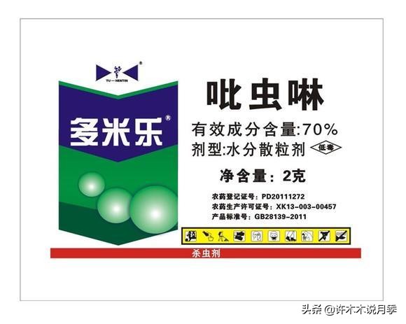 月季忘记埋冬肥了,月季清园几次