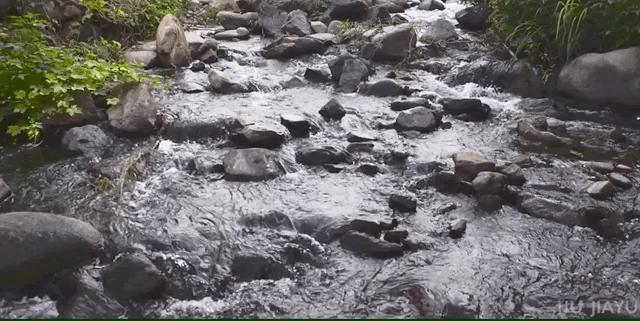 这个时代不是拼命就有用的,这个时代并不是努力就一定能赚钱