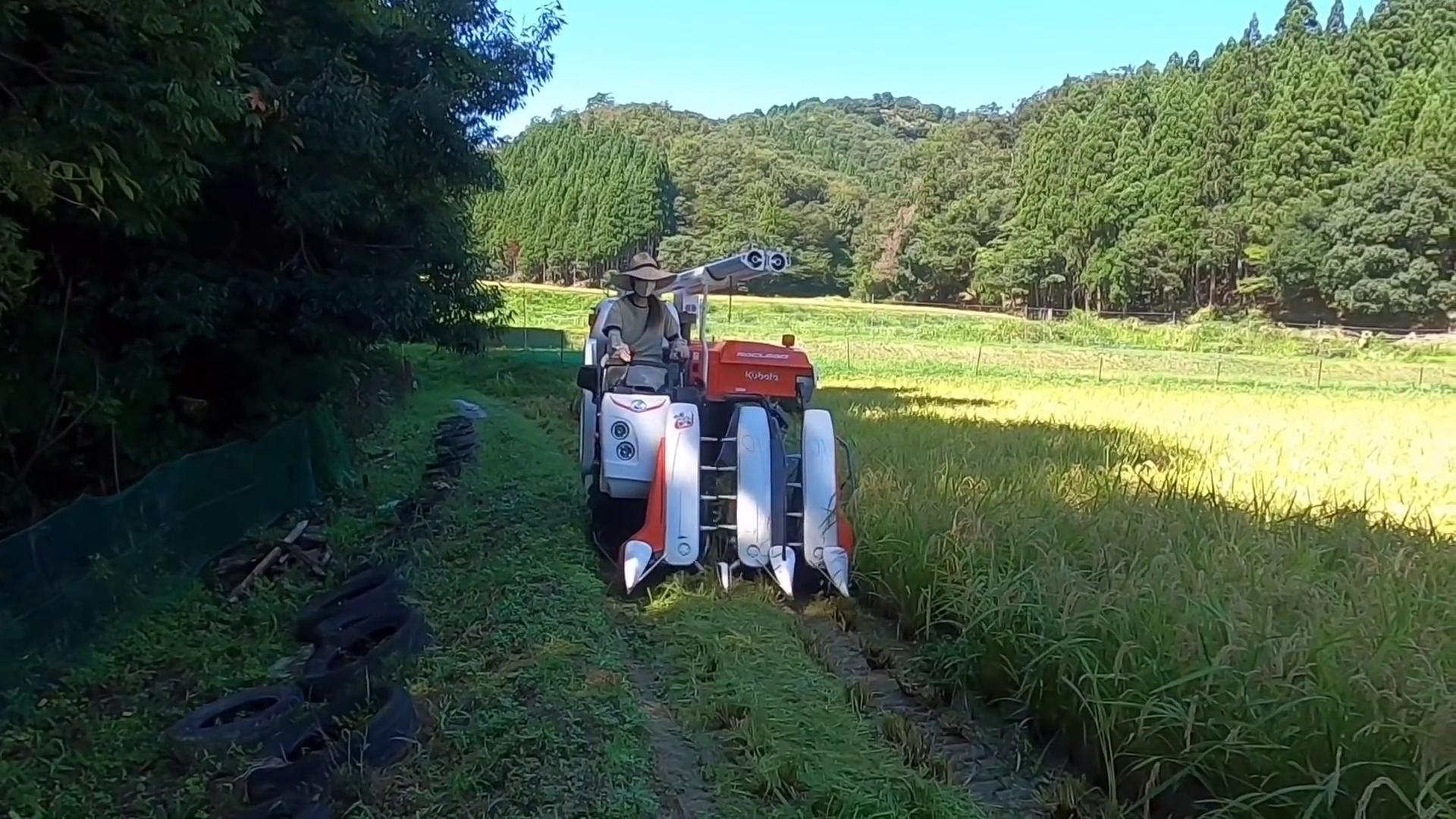 久保田230小型水稻收割机,小型久保田收割机2023新款价目表