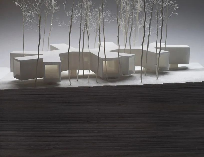 森林屋建筑,林中木屋建筑