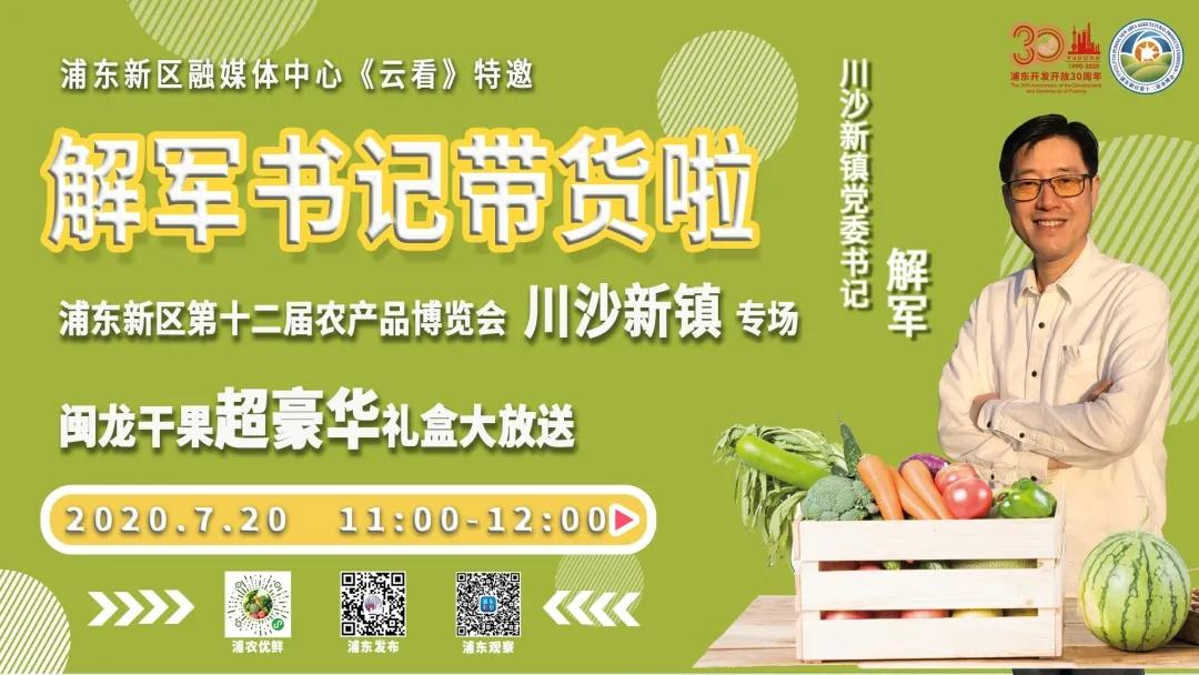 上海浦东新区川沙镇镇长,上海浦东新区川沙新镇党委书记