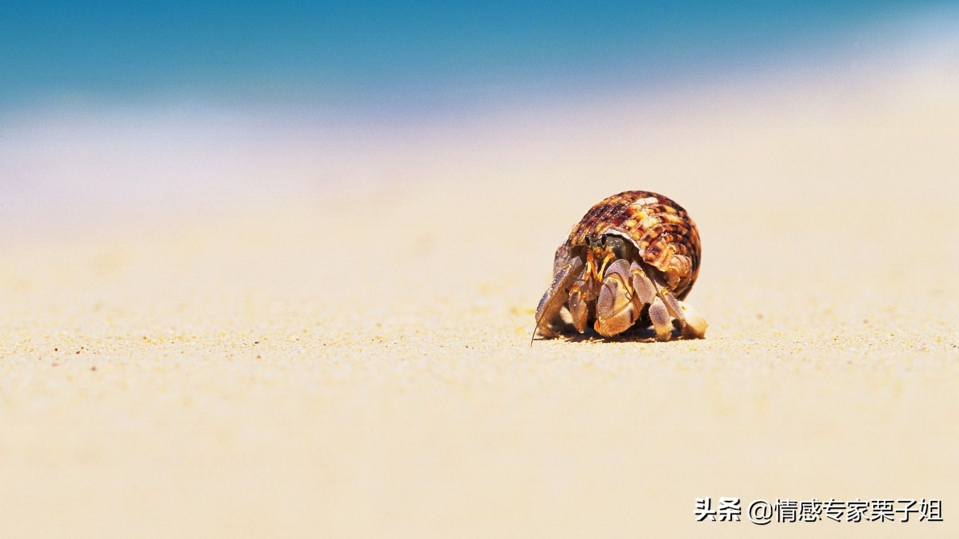 情感咨询｜栗子姐每日情感问答（0306）