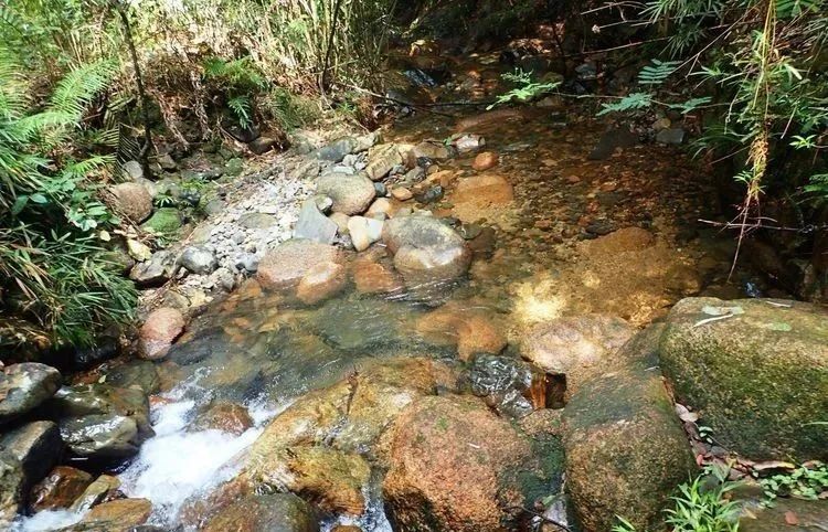 广州从化海拔1000米的山峰,从化十大最难爬的山