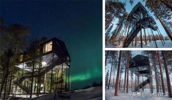 森迪部落树屋酒店,浙江树屋酒店