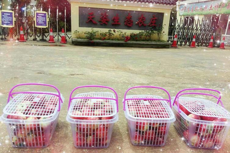 武汉周边自驾游景点排名前十名,武汉周边别墅度假村农家乐