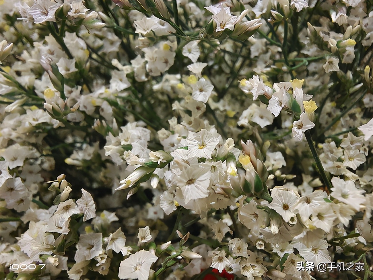 iqooneo5s和iqoo7更推荐哪个,iqoo7的30w快充有多快